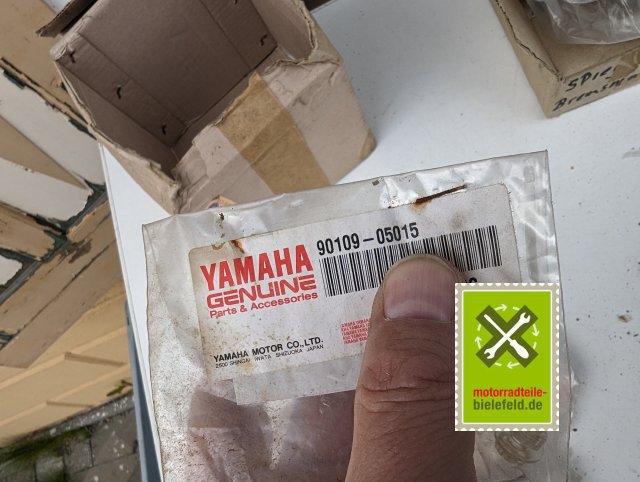 PXL_20240528_174211401